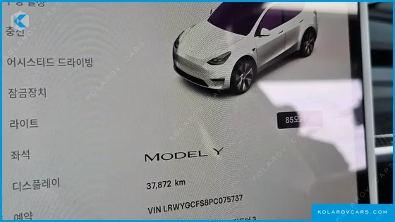 TESLA MODEL Y RWD