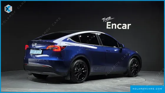 TESLA MODEL Y LONG RANGE AWD