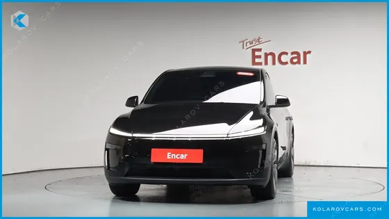 TESLA MODEL Y LONG RANGE AWD