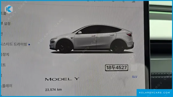 TESLA MODEL Y RWD