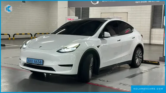 TESLA MODEL Y RWD