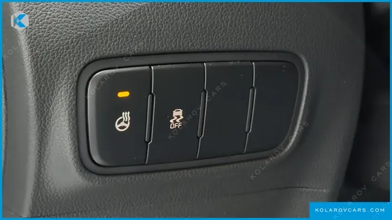 KIA RAY SIGNATURE