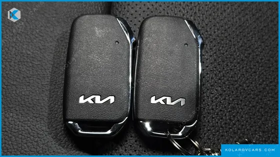 KIA RAY SIGNATURE