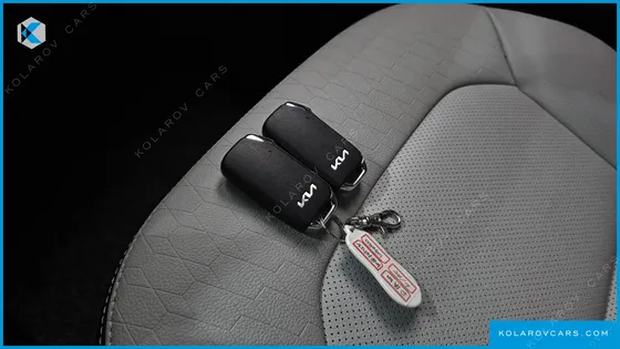 KIA RAY SIGNATURE