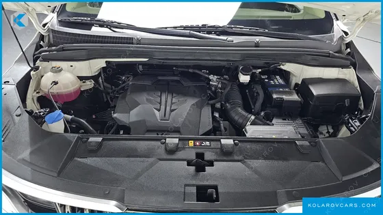 KIA CARNIVAL GASOLINE 9-SEATER HI-LIMOUSINE