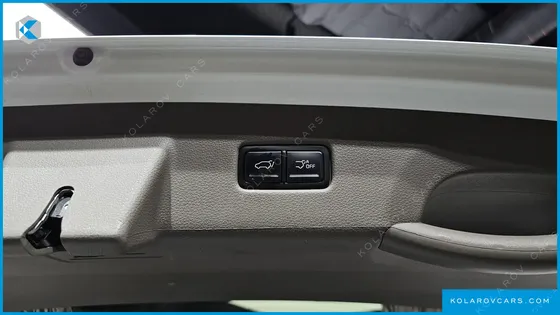 KIA CARNIVAL GASOLINE 9-SEATER HI-LIMOUSINE
