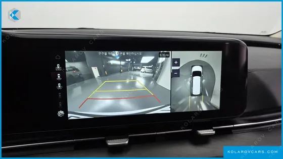 KIA CARNIVAL GASOLINE 7-SEATER LIMOUSINE(SPECIAL VEHICLE)