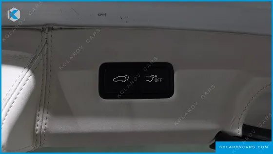 KIA CARNIVAL GASOLINE 7-SEATER LIMOUSINE(SPECIAL VEHICLE)