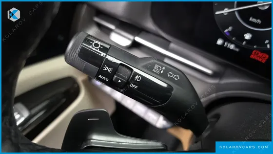 KIA CARNIVAL GASOLINE 7-SEATER LIMOUSINE(SPECIAL VEHICLE)