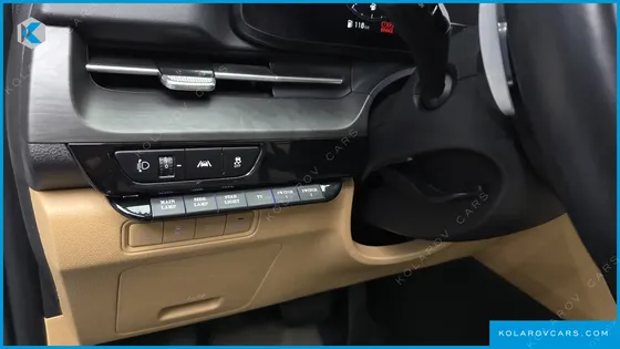 KIA CARNIVAL GASOLINE 7-SEATER LIMOUSINE(SPECIAL VEHICLE)