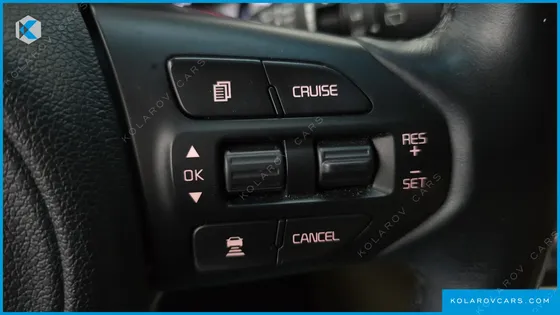 KIA CARNIVAL GASOLINE 9-SEATER HI-LIMOUSINE