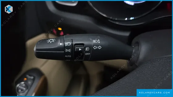 KIA CARNIVAL GASOLINE 9-SEATER HI-LIMOUSINE