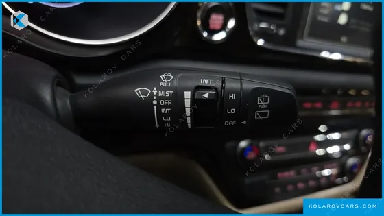 KIA CARNIVAL GASOLINE 9-SEATER HI-LIMOUSINE