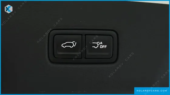 KIA CARNIVAL GASOLINE 9-SEATER SIGNATURE