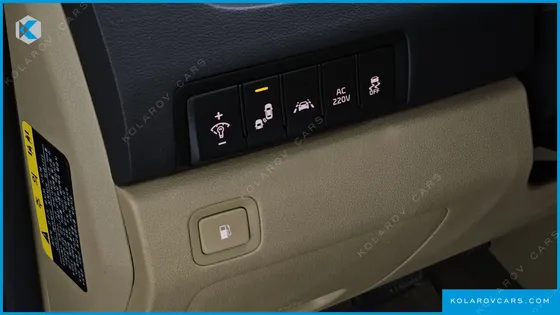 KIA CARNIVAL 9-SEATER NOBLESSE