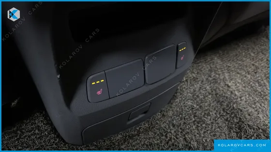 KIA CARNIVAL 9-SEATER LUXURY