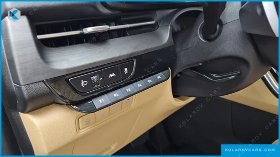 KIA CARNIVAL GASOLINE 9-SEATER LIMOUSINE(SPECIAL VEHICLE)