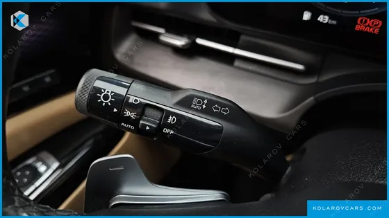 KIA CARNIVAL GASOLINE 9-SEATER LIMOUSINE(SPECIAL VEHICLE)