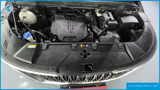 KIA CARNIVAL GASOLINE 9-SEATER LIMOUSINE(SPECIAL VEHICLE)