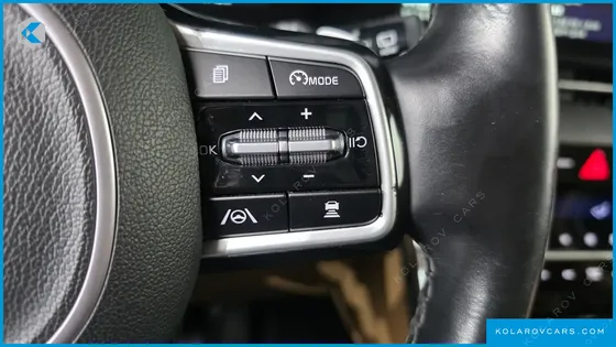 KIA CARNIVAL GASOLINE 9-SEATER LIMOUSINE(SPECIAL VEHICLE)