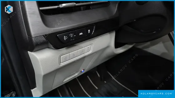 KIA CARNIVAL GASOLINE 9-SEATER LIMOUSINE(SPECIAL VEHICLE)