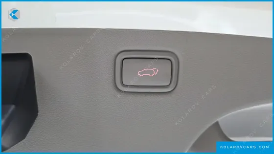KIA CARNIVAL GASOLINE 9-SEATER NOBLESSE