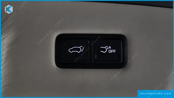 KIA CARNIVAL GASOLINE 9-SEATER LIMOUSINE(SPECIAL VEHICLE)
