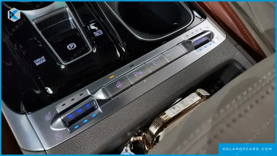 KIA CARNIVAL GASOLINE 9-SEATER LIMOUSINE(SPECIAL VEHICLE)