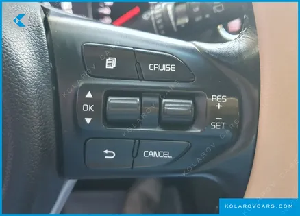 KIA CARNIVAL 9-SEATER LUXURY