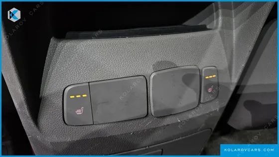 KIA CARNIVAL 9-SEATER LUXURY