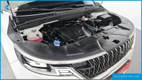 KIA CARNIVAL GASOLINE 7-SEATER HI-LIMOUSINE
