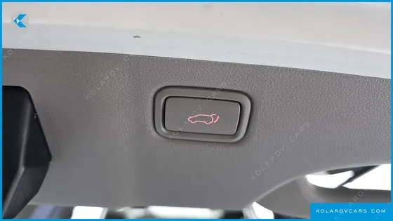 KIA CARNIVAL 9-SEATER NOBLESSE