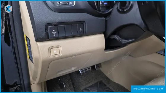 KIA CARNIVAL 9-SEATER LUXURY