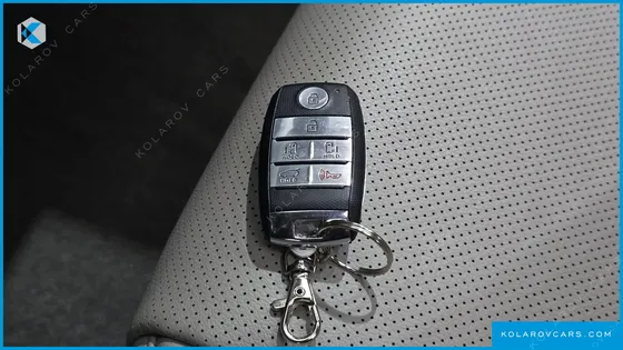 KIA CARNIVAL 9-SEATER LUXURY