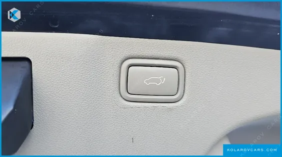 KIA CARNIVAL 9-SEATER NOBLESSE SPECIAL