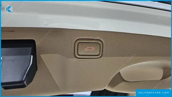 KIA CARNIVAL GASOLINE 7-SEATER HI-LIMOUSINE