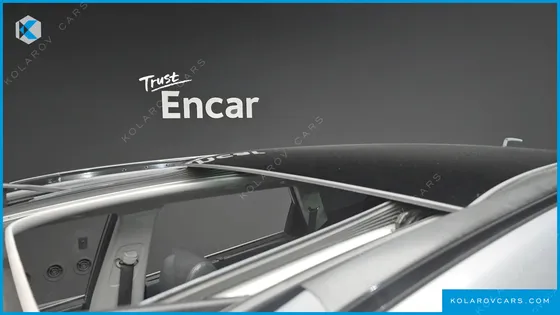 HYUNDAI MAXCRUISE DIESEL 2.2 2WD