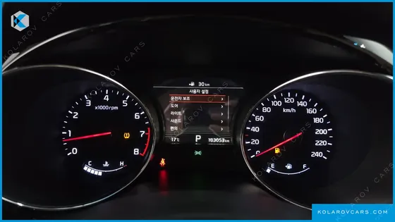 KIA CARNIVAL GASOLINE 9-SEATER HI-LIMOUSINE