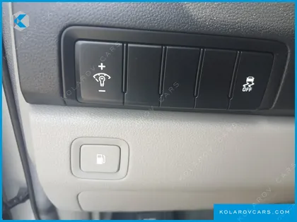 KIA CARNIVAL 9-SEATER LUXURY