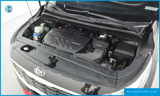 KIA CARNIVAL 9-SEATER NOBLESSE SPECIAL
