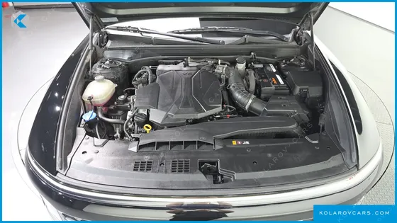 HYUNDAI GRANDEUR 3.5 LPG 2WD (TAXI)