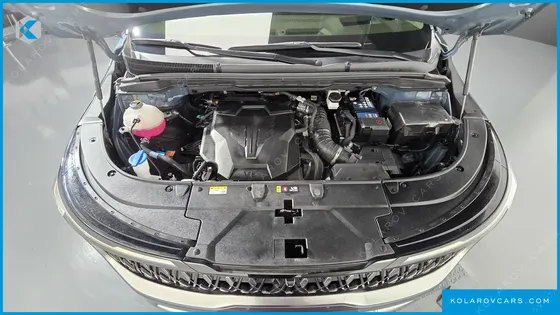 KIA CARNIVAL GASOLINE 9-SEATER SIGNATURE