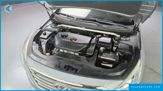 HYUNDAI SONATA LPI SMART(HANDICAPPED)