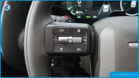 HYUNDAI PALISADE HEV 2.5T 4WD 9-SEATER