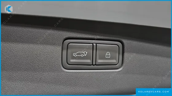 HYUNDAI IONIQ 9 CRUISE TYPE 2WD
