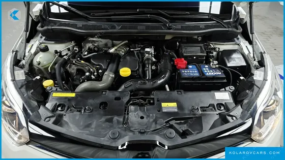 RENAULT KOREA QM3 RE SIGNATURE