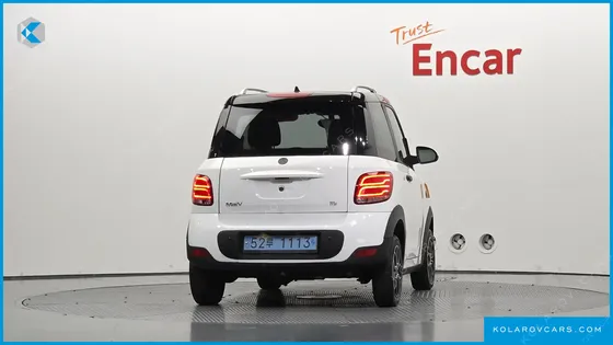 OTHER MANUFACTURERS OTHER PASSENGER CARS OTHERS EV
