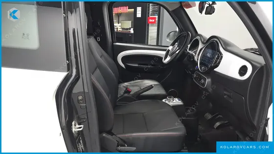 OTHER MANUFACTURERS OTHER PASSENGER CARS OTHERS EV