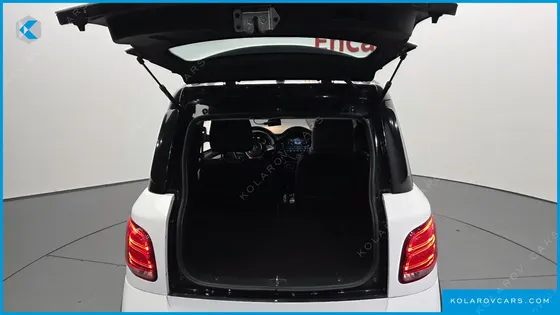 OTHER MANUFACTURERS OTHER PASSENGER CARS OTHERS EV