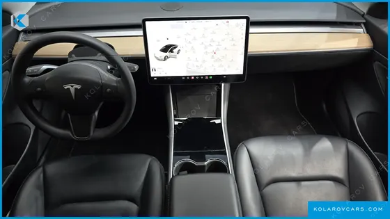 TESLA MODEL 3 STANDARD RANGE PLUE RWD